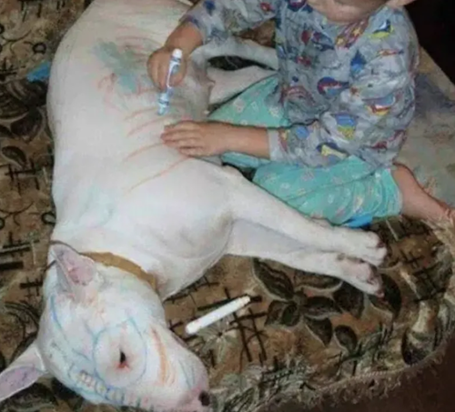 Things Kids Do That Make Their Parents Proud creative